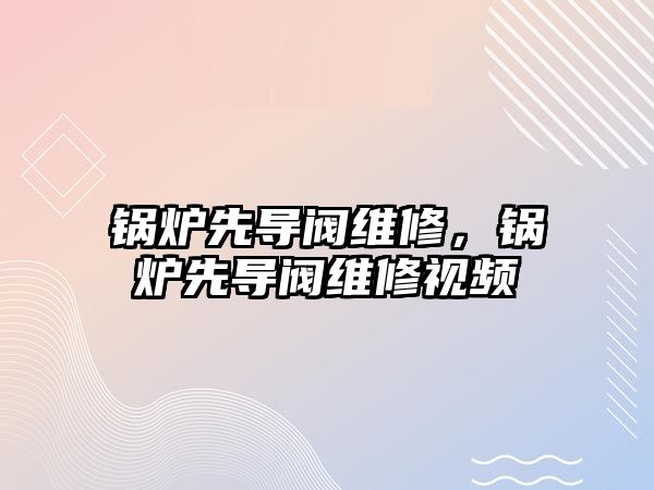 鍋爐先導(dǎo)閥維修，鍋爐先導(dǎo)閥維修視頻