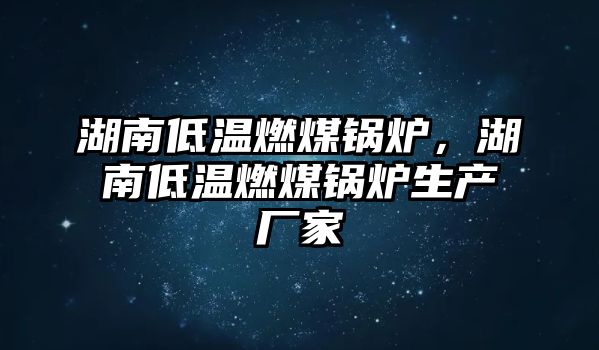 湖南低溫燃煤鍋爐，湖南低溫燃煤鍋爐生產廠家