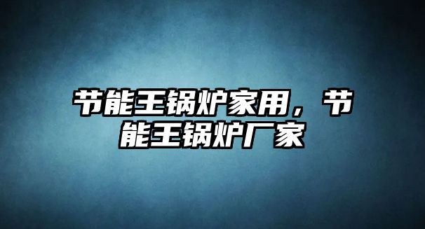 節能王鍋爐家用，節能王鍋爐廠家