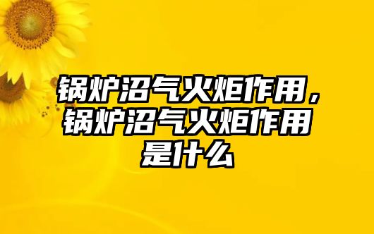 鍋爐沼氣火炬作用，鍋爐沼氣火炬作用是什么