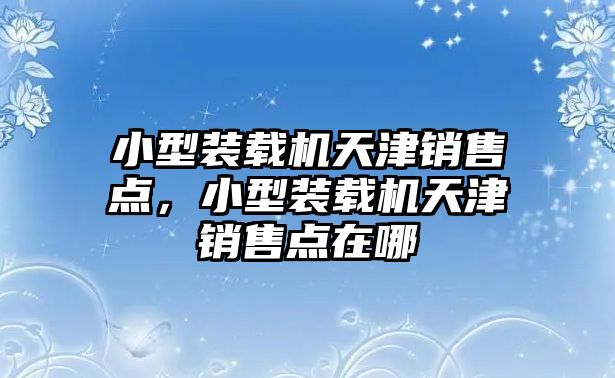 小型裝載機天津銷售點，小型裝載機天津銷售點在哪