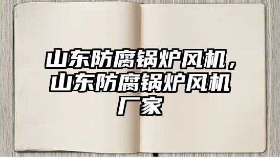 山東防腐鍋爐風(fēng)機，山東防腐鍋爐風(fēng)機廠家